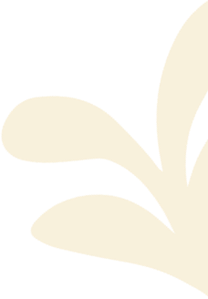 Modern Women Wear -Modern Women Wear Groovy s Hero Desktop 2 e9a73c