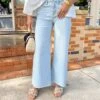 Olivia Wide Leg Jean By Vervet In Cleared